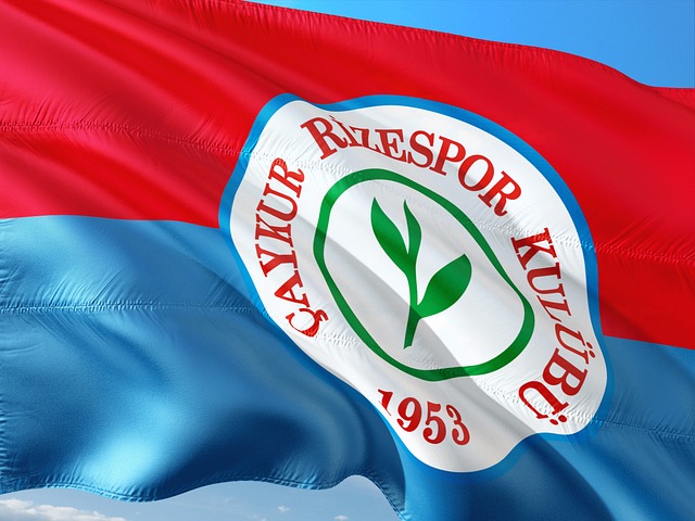 贝克汉姆一家庆祝夺冠