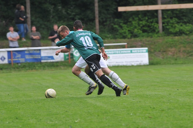 努力与拼搏 努力与拼搏