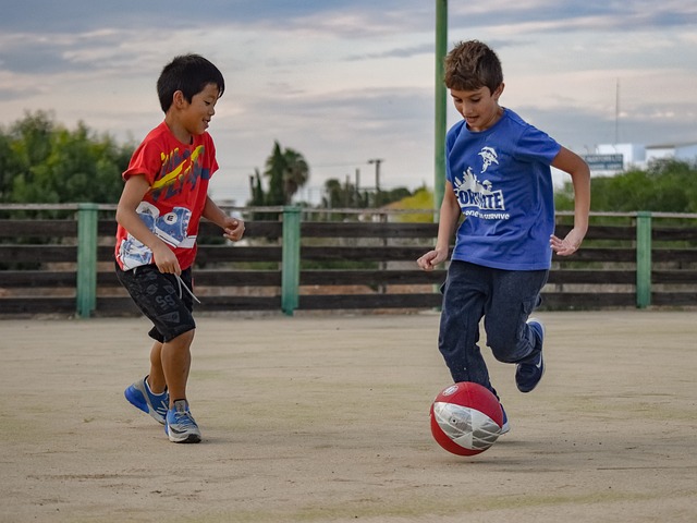 是宝贵的 是宝贵的