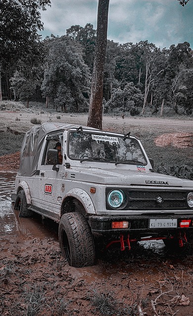 足球明星的 足球明星的