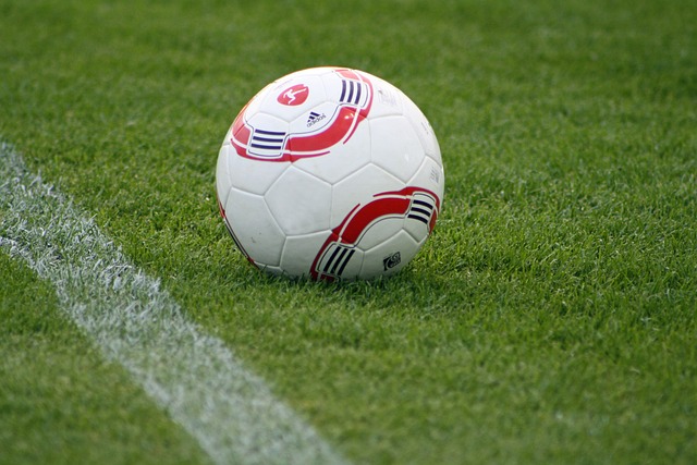 慢跑愛好者 慢跑愛好者