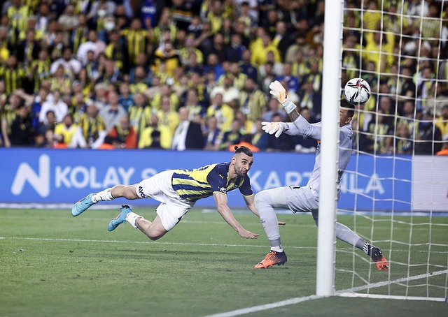 致他们表现 致他们表现