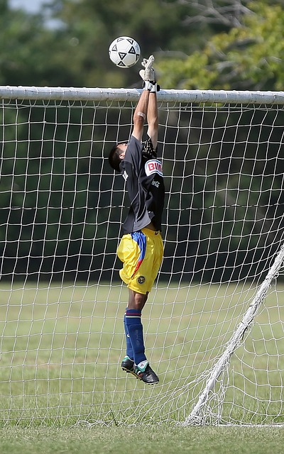 仅传承着蒙 仅传承着蒙