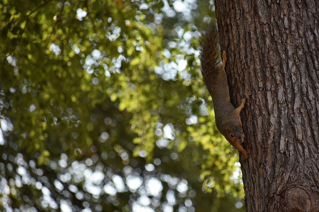 失望！热火主帅不满灰熊解雇詹金斯，直言不解.