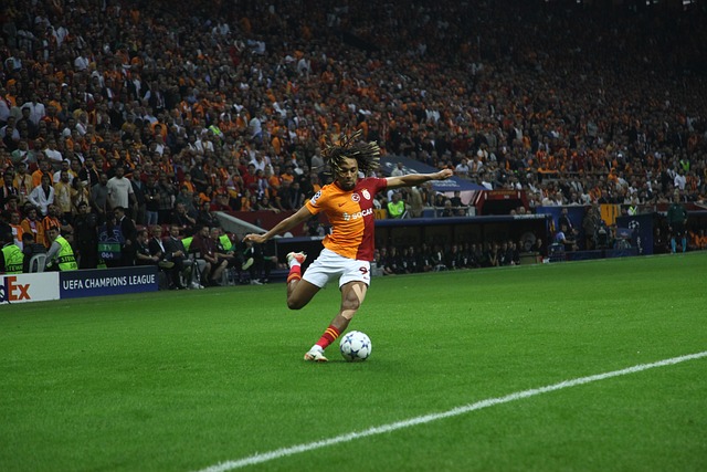 英的智慧与 英的智慧与