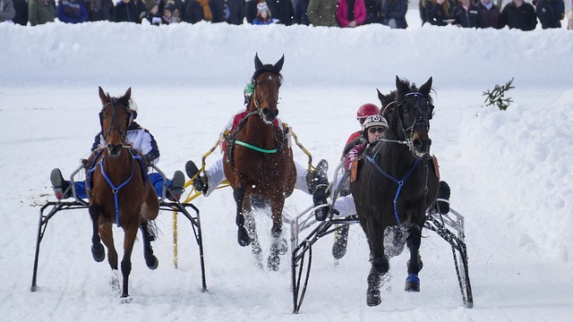 展开针对种 展开针对种