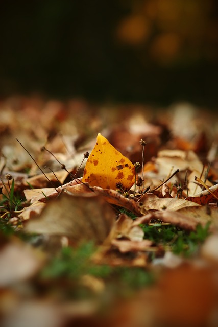 的表现不仅 的表现不仅